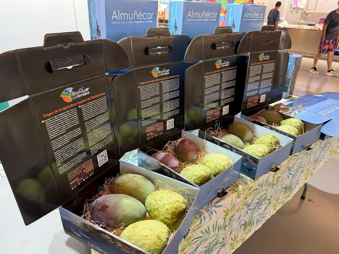 El mango de Almuñécar ha sido protagonista este miércoles en el mercado municipal con el inicio de su campaña en la Costa Tropical, donde también se ha presentado la caja de frutas tropicales como elmento de promoción turística (AYUNTAMIENTO DE ALMUÑÉCAR)