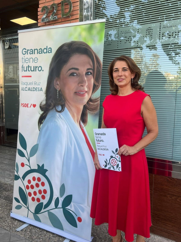 (PSOE) (PSOE)