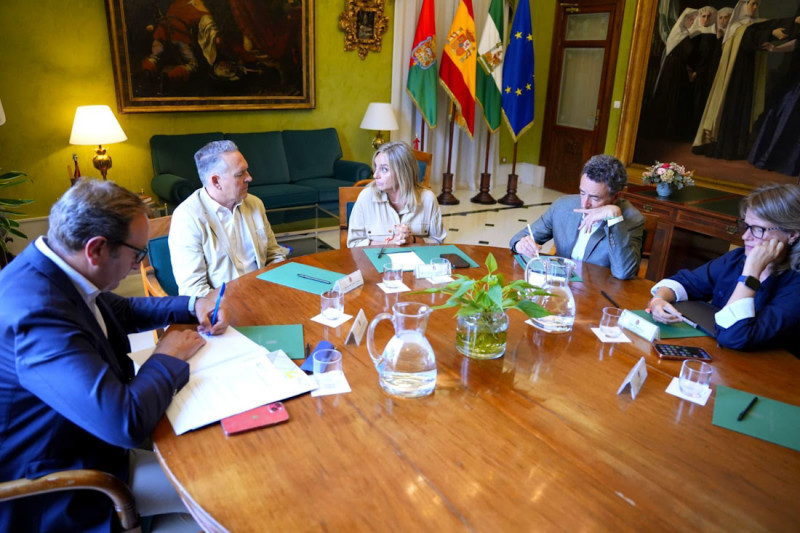 Imagen de la reunión (AYTO. GRANADA)