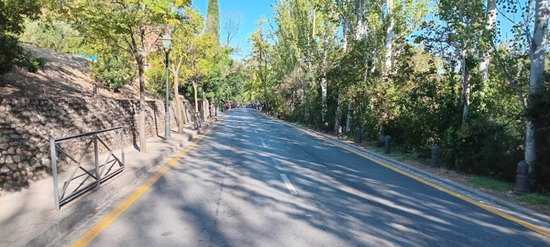 (GRANADA UNIDA) (GRANADA UNIDA)