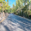 (GRANADA UNIDA)