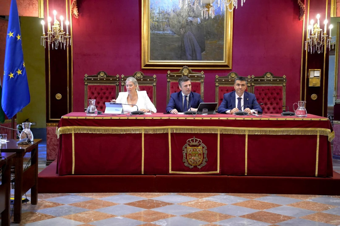 Comisión de Cultura del Ayuntamiento de Granada (AYUNTAMIENTO DE GRANADA)