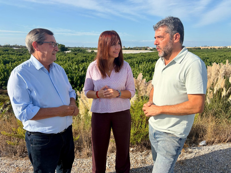 (PSOE) (PSOE)