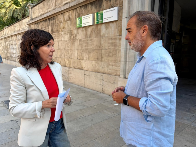 (PSOE) (PSOE)