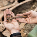 De entre los 194 restos humanos recuperados por 'Universidad y Memoria' de la UGR en el barranco de Víznar' en diferentes campañas se ha identificado ya a 17 (UGR)