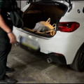 (GUARDIA CIVIL)