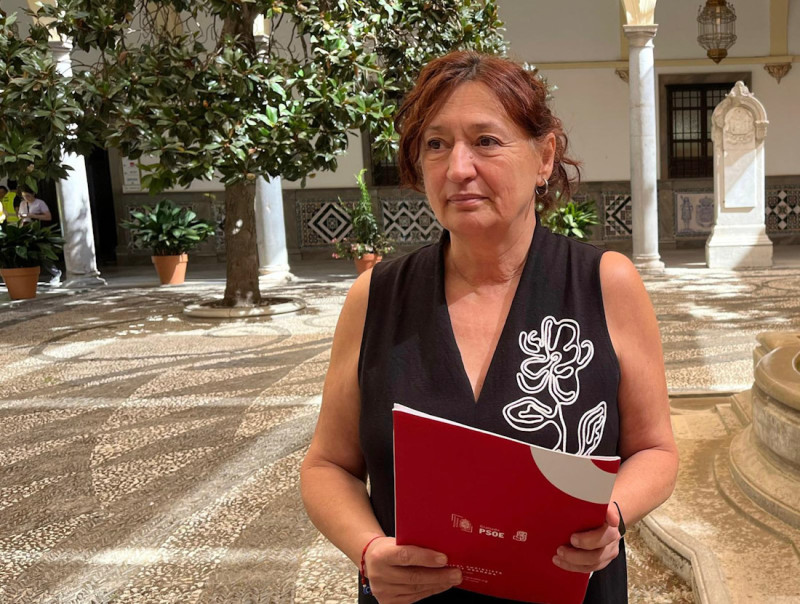 (PSOE) (PSOE)