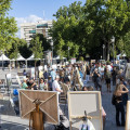 Certamen de pintura rápida (CAJA RURAL)