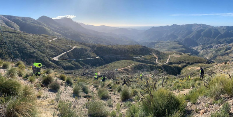 El paraje afectado por el incendio de Los Guajares recupera sus primeras 80 hectáreas (UNEI - PLANT FOR THE PLANET) El paraje afectado por el incendio de Los Guajares recupera sus primeras 80 hectáreas (UNEI - PLANT FOR THE PLANET)