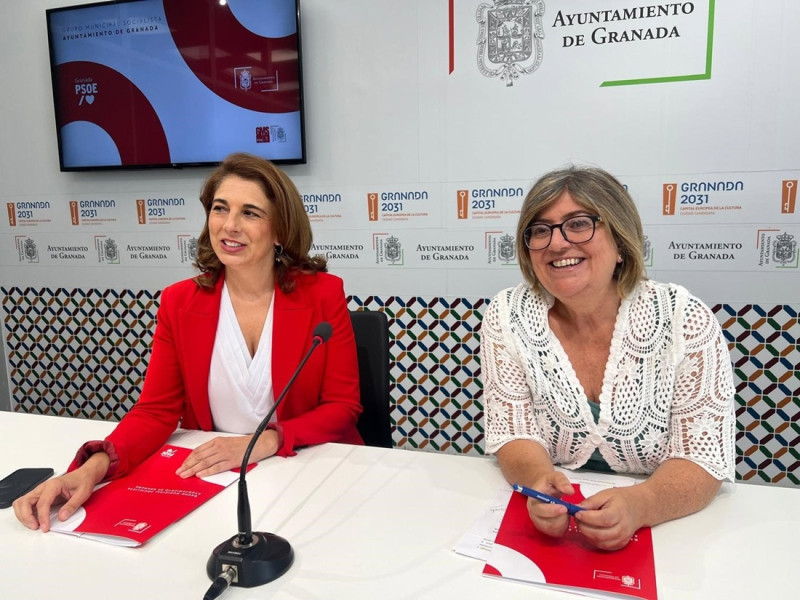 (PSOE) (PSOE)