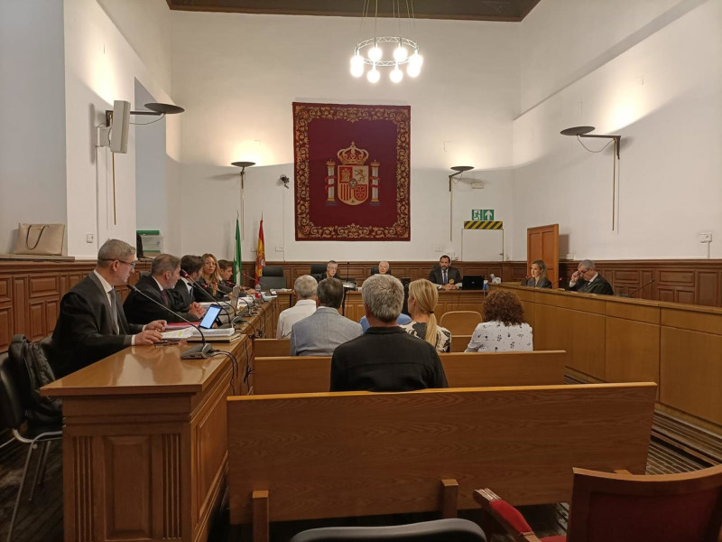 Primera sesión del juicio de la pieza separada de la gasolinera del caso Marchelo en la Audiencia de Granada (EUROPA PRESS) Primera sesión del juicio de la pieza separada de la gasolinera del caso Marchelo en la Audiencia de Granada (EUROPA PRESS)
