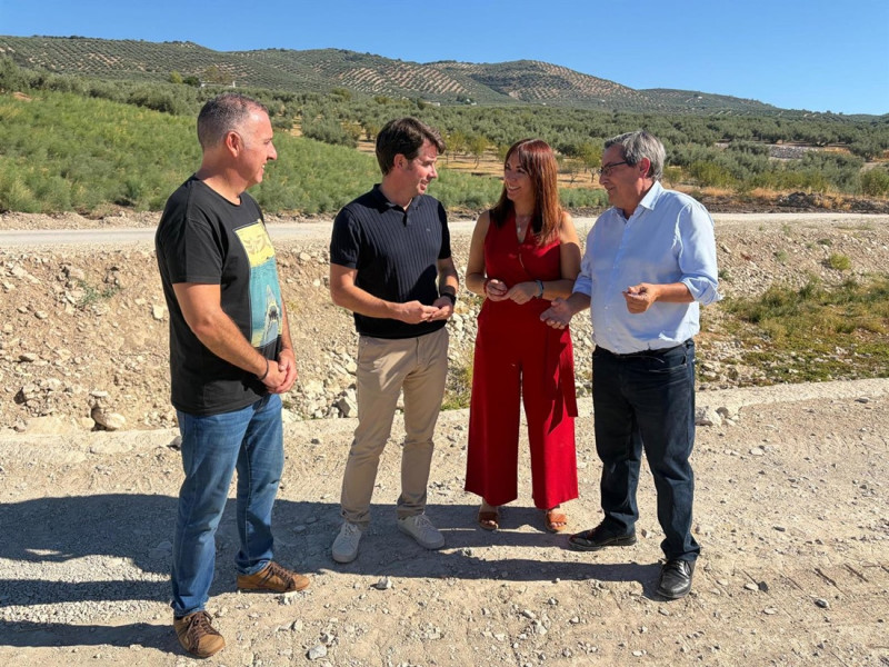 (PSOE) (PSOE)