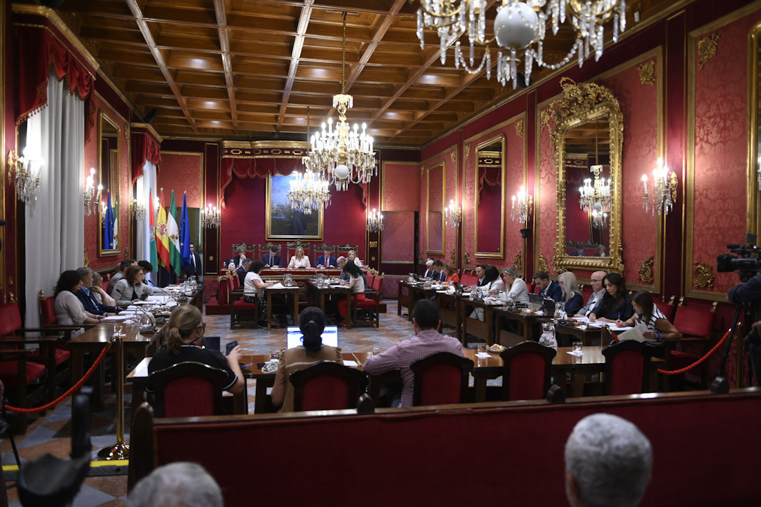 Pleno del ayuntamiento de Granada (GPMEDIA)