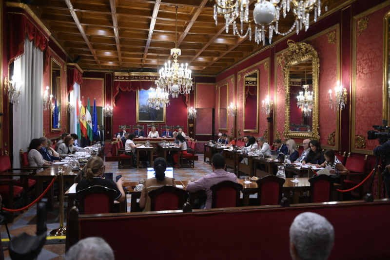 Pleno del ayuntamiento de Granada (GPMEDIA) Pleno del ayuntamiento de Granada (GPMEDIA)
