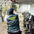 Marihuana incautada en Iznalloz (GUARDIA CIVIL)