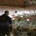 Imagen de archivo de una peración contra el cultivo de marihuana (GUARDIA CIVIL