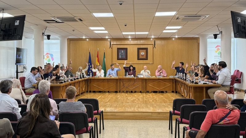 Pleno del Ayuntamiento de Armilla (AYTO. ARMILLA)
