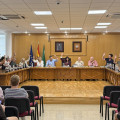 Pleno del Ayuntamiento de Armilla (AYTO. ARMILLA)