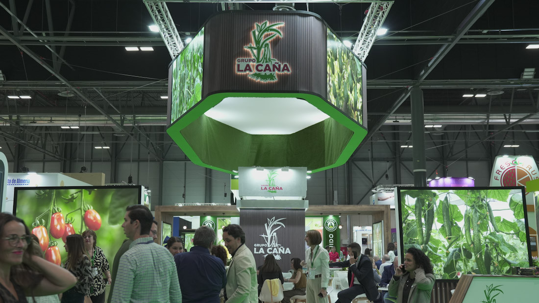(GRUPO LA CAÑA)