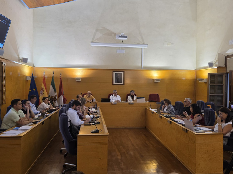 Pleno del Ayuntamiento de Guadix (AYTO. GUADIX) Pleno del Ayuntamiento de Guadix (AYTO. GUADIX)