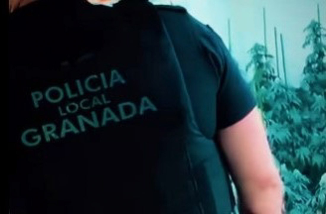 La Policía Local de Granada ha detenido a dos varones sexagenarios y ha desmantelado una plantación 'indoor' con un total de 110 plantas de marihuana en el distrito Norte de la ciudad (POLICÍA LOCAL DE GRANADA)