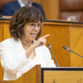 (PSOE)