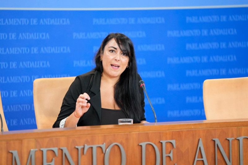 La parlamentaria de Adelante Andalucía por Granada y portavoz adjunta de la formación en la cámara regional, Inma Manzano (JOAQUÍN CORCHERO / EUROPA PRESS) La parlamentaria de Adelante Andalucía por Granada y portavoz adjunta de la formación en la cámara regional, Inma Manzano (JOAQUÍN CORCHERO / EUROPA PRESS)