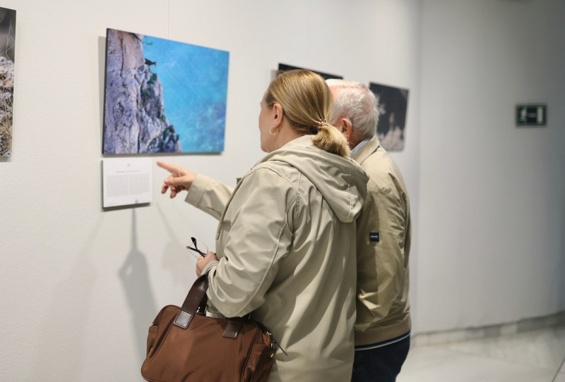 Inauguración de la exposición (GPMEDIA)