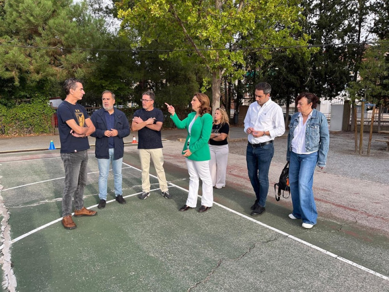 (PSOE) (PSOE)