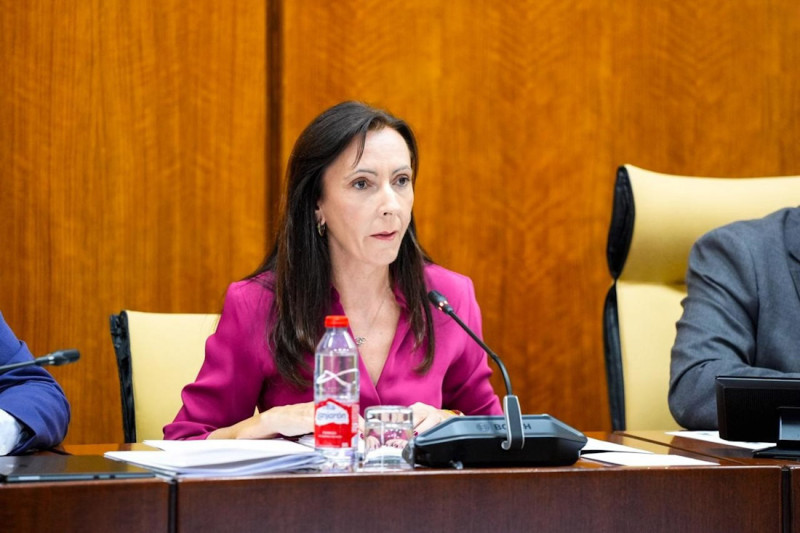 Fina Martínez, consejera de Sostenibilidad, en la comisión parlamentaria del 7 de octubre de 2026 (JOAQUIN CORCHERO / PARLAMENTO DE ANDALUCIA) Fina Martínez, consejera de Sostenibilidad, en la comisión parlamentaria del 7 de octubre de 2026 (JOAQUIN CORCHERO / PARLAMENTO DE ANDALUCIA)