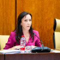 Fina Martínez, consejera de Sostenibilidad, en la comisión parlamentaria del 7 de octubre de 2026 (JOAQUIN CORCHERO / PARLAMENTO DE ANDALUCIA)