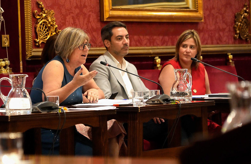 (PSOE) (PSOE)