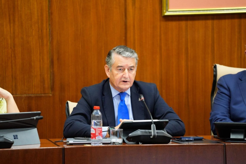 El vicepresidente primero y consejero de Presidencia, Sanidad y Emergencias, Antonio Sanz, en la comisión parlamentaria del 15 de octubre de 2026 (JOAQUIN CORCHERO / PARLAMENTO DE ANDALUCIA) El vicepresidente primero y consejero de Presidencia, Sanidad y Emergencias, Antonio Sanz, en la comisión parlamentaria del 15 de octubre de 2026 (JOAQUIN CORCHERO / PARLAMENTO DE ANDALUCIA)