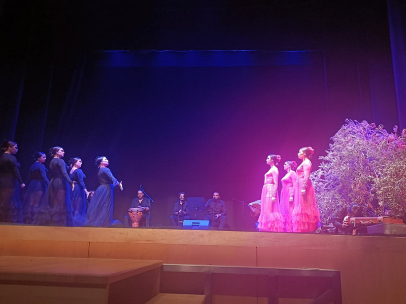 Espectáculo flamenco 'Siempre eterno' (AYTO. GUADIX) Espectáculo flamenco 'Siempre eterno' (AYTO. GUADIX)
