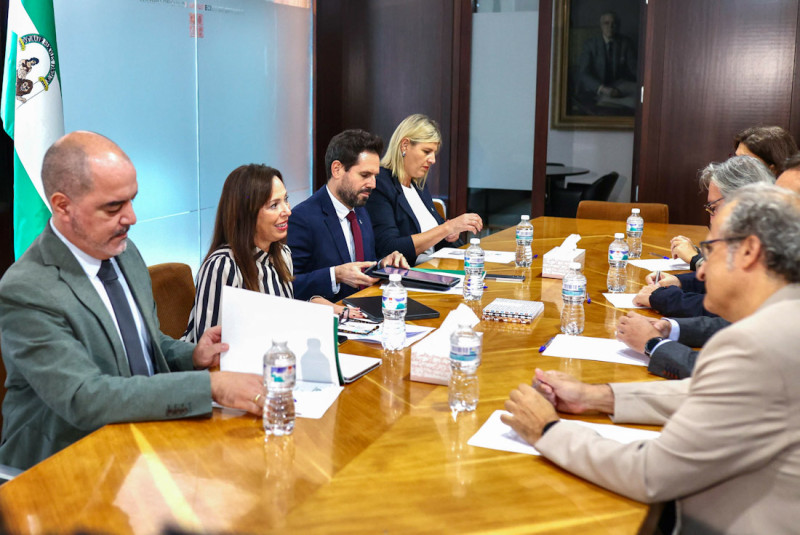 Reunión con el Colegio de Arquitectos (GPMEDIA)