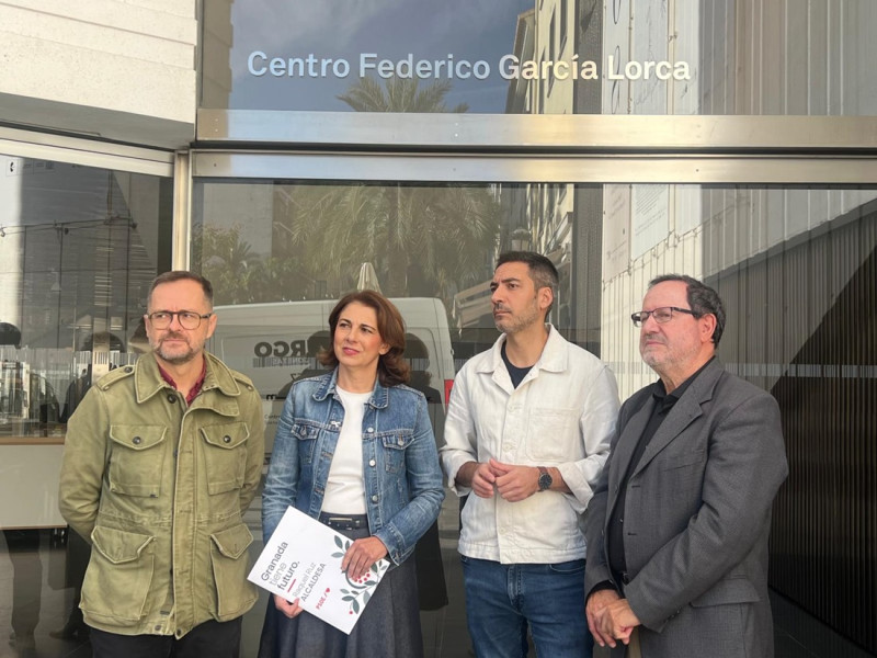 (PSOE) (PSOE)