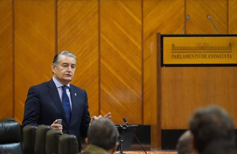 El vicepresidente primero y consejero de Presidencia, Sanidad y Emergencias, Antonio Sanz (JUNTA DE ANDALUCÍA) El vicepresidente primero y consejero de Presidencia, Sanidad y Emergencias, Antonio Sanz (JUNTA DE ANDALUCÍA)