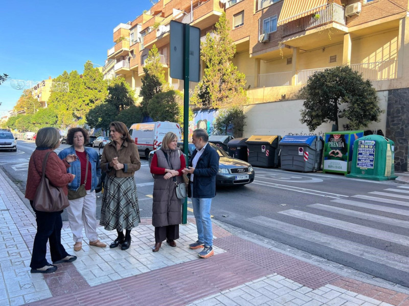 (PSOE) (PSOE)