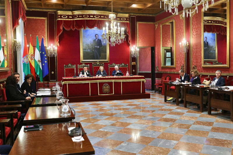 Comisión extraordinaria de economía (GPMEDIA)