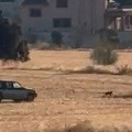 La denuncia de los hechos ante la Guardia Civil iba acompañada de un vídeo  (GUARDIA CIVIL)