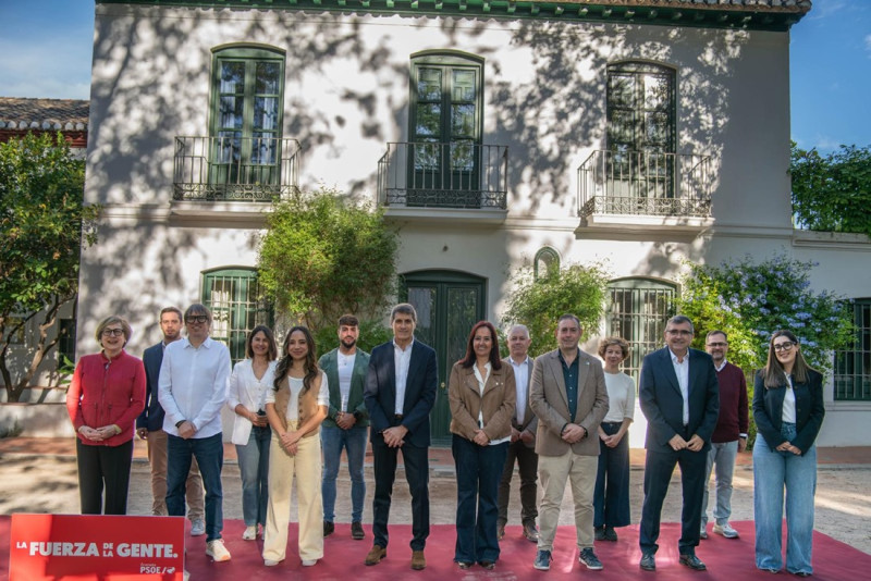 (PSOE) (PSOE)