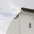 Imágen de viviendas afectadas por los seísmos en Churriana de la Vega. Archivo (ÁLEX CÁMARA - EUROPA PRESS)